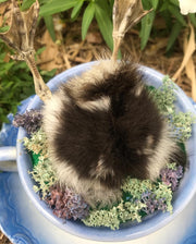 Taxidermy duckling butt